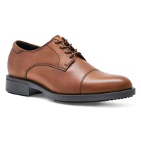 Senator 1211 - Brown