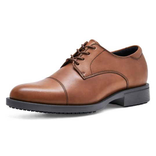 Senator 1211 - Brown